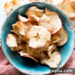 air fryer apple chips in a bowl