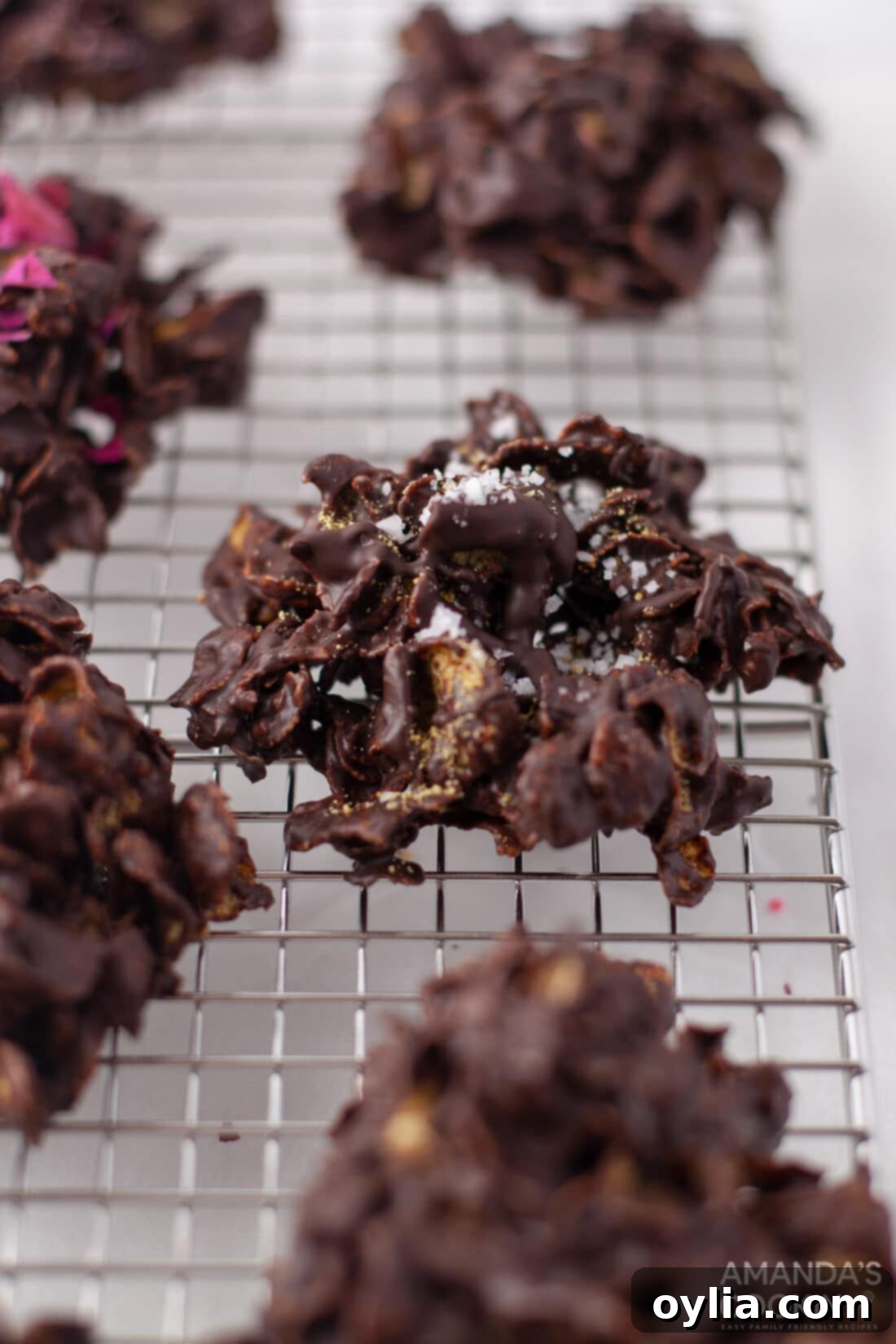 A trio of delicious dark chocolate no-bake cornflake cookies, artfully arranged and ready to be served.