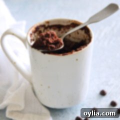 chocolate mug cake