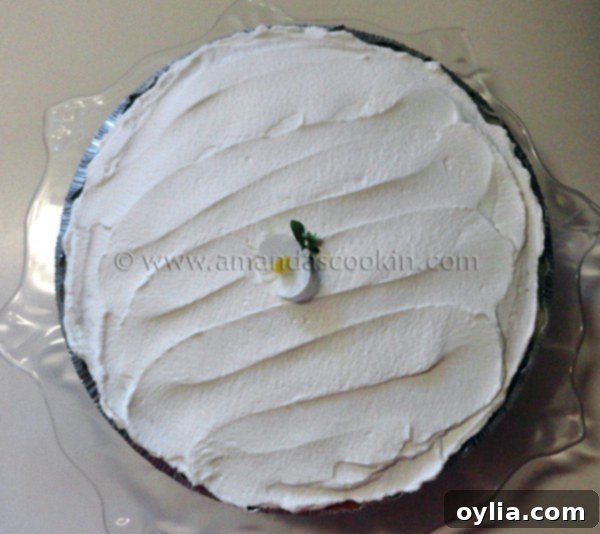 Lemonade Cheesecake