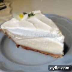 Sunshine Zest Cheesecake 2 Lemonade Cheesecake