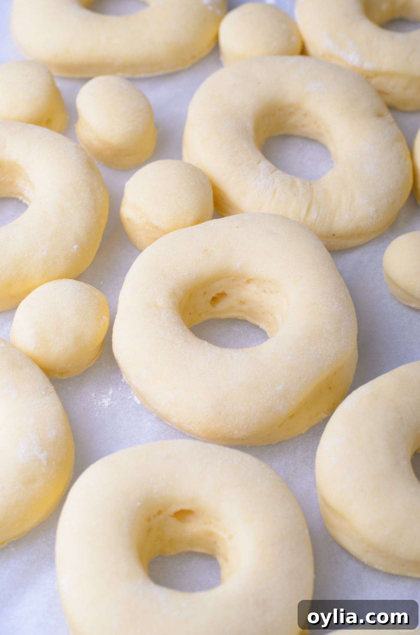 donuts rings and donut holes