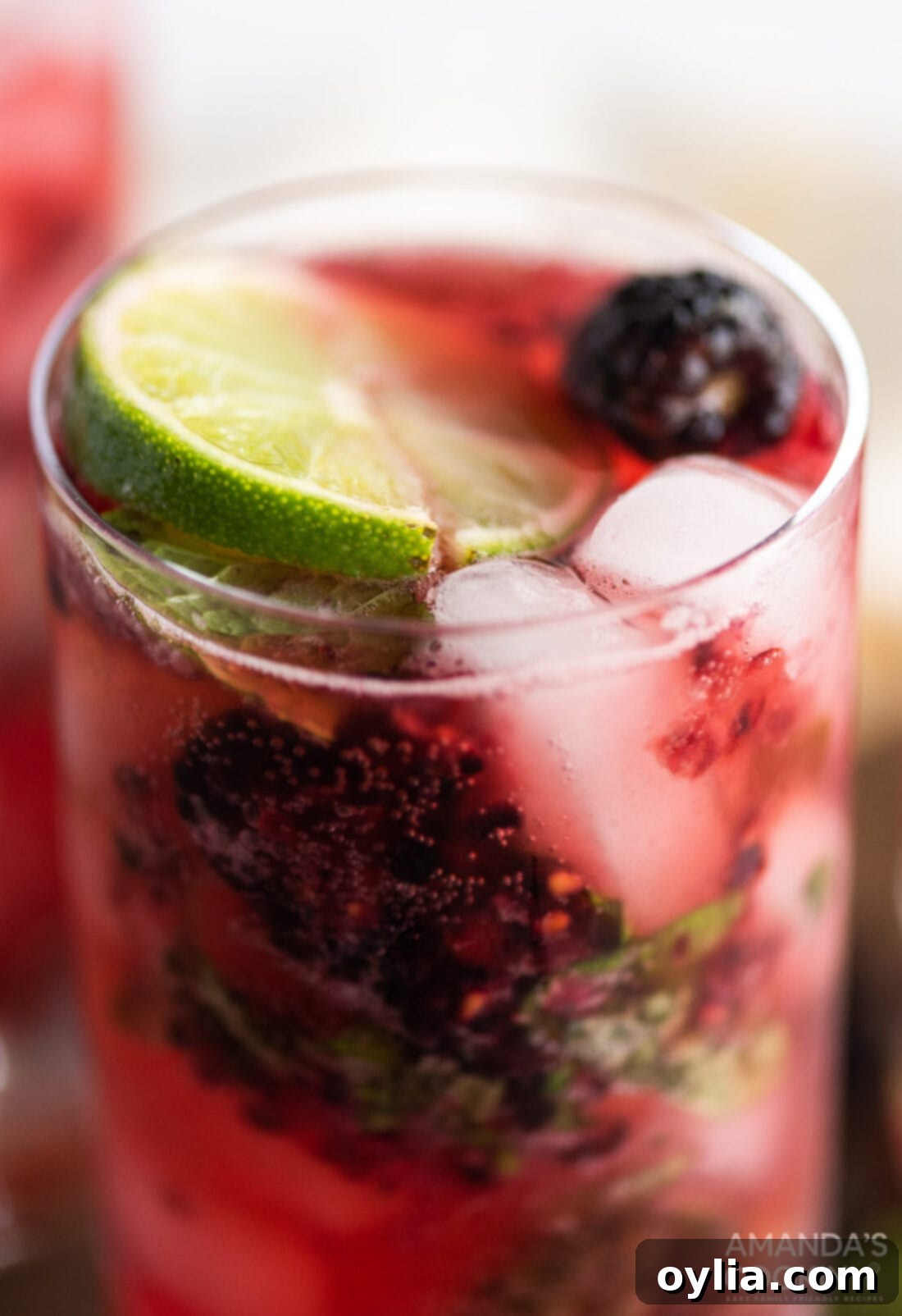 close up of Blackberry Mojito