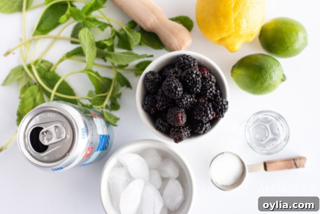 ingredients for Blackberry Mojito