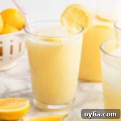 Frozen Lemonade