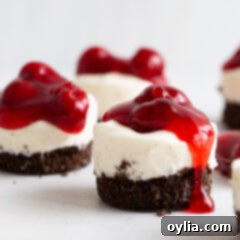 Cheesecake Bites 11 3 mini cherry cheesecakes
