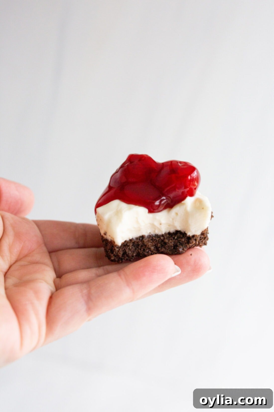 Cheesecake Bites 3 holding a mini cheesecake with a bite out of it
