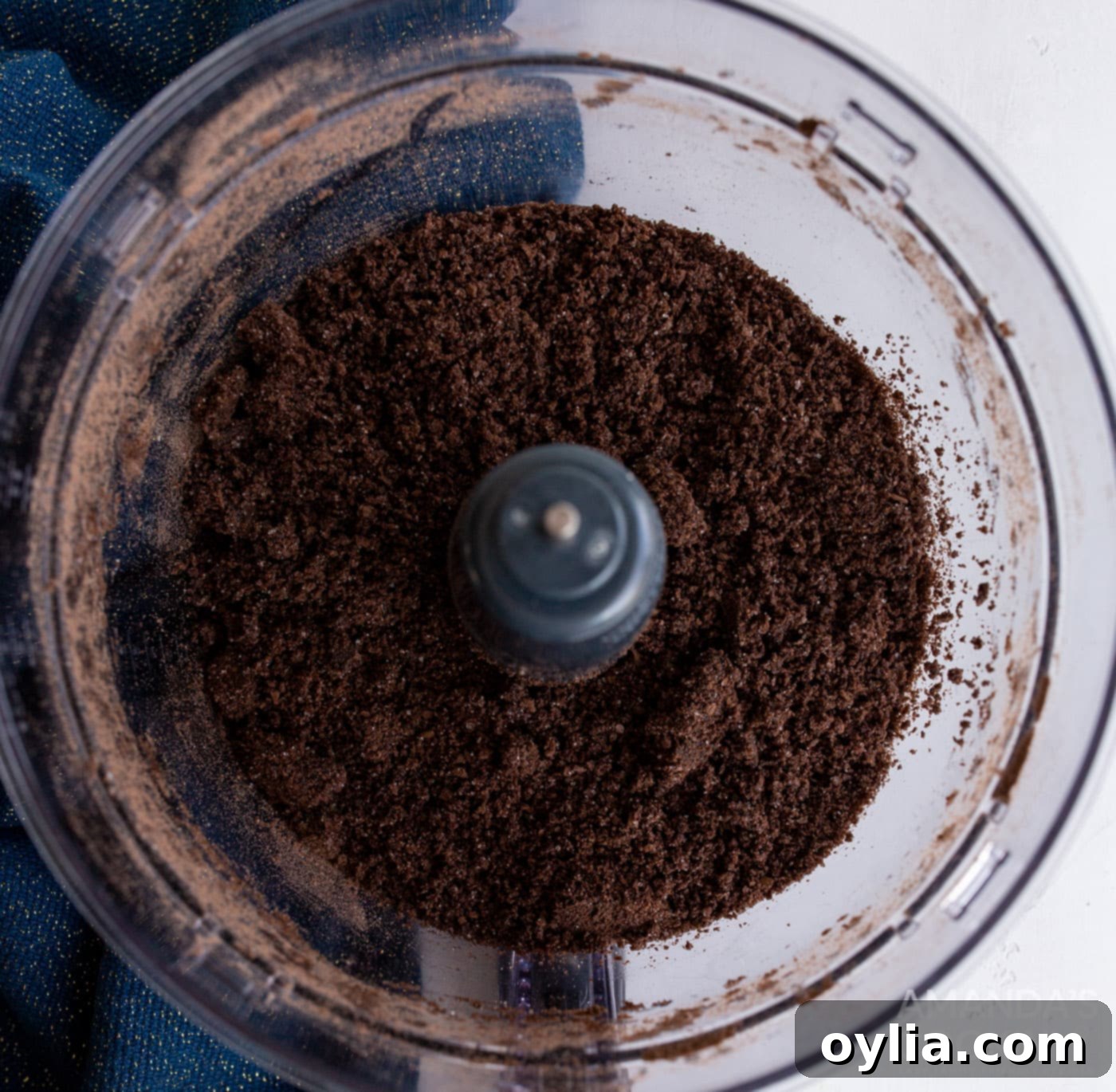 graham cracker crumbs in a food processor