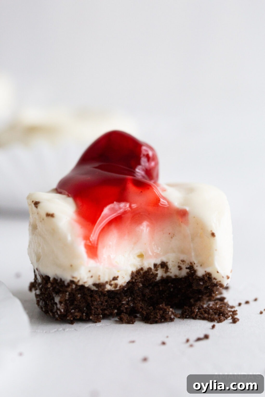 Cheesecake Bites 10 mini cheesecake with a bite out of it