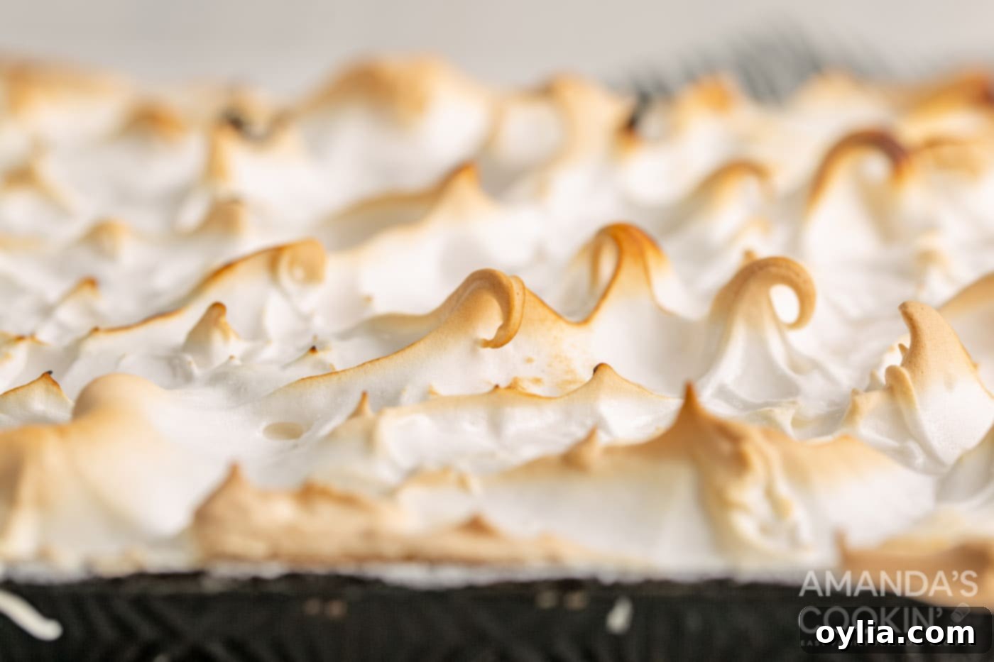 browned meringue topping