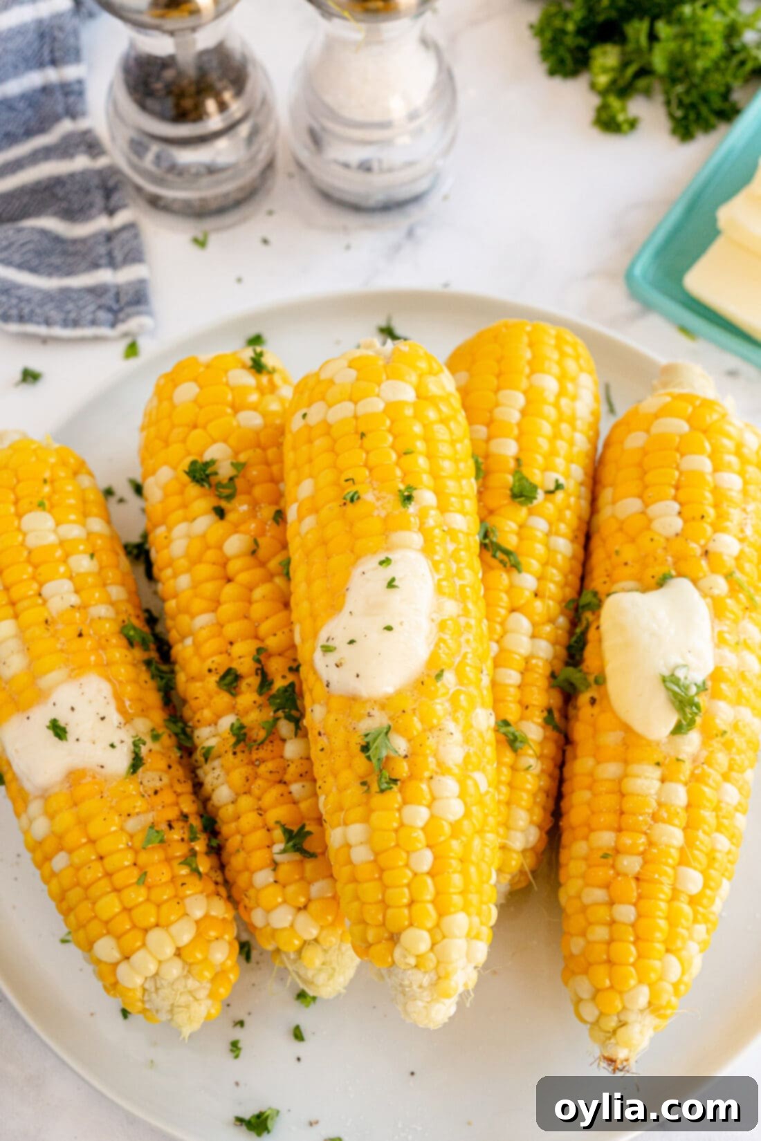 Perfect Grilled Corn 10 Grilled Corn on the Cob with butter and seasoning