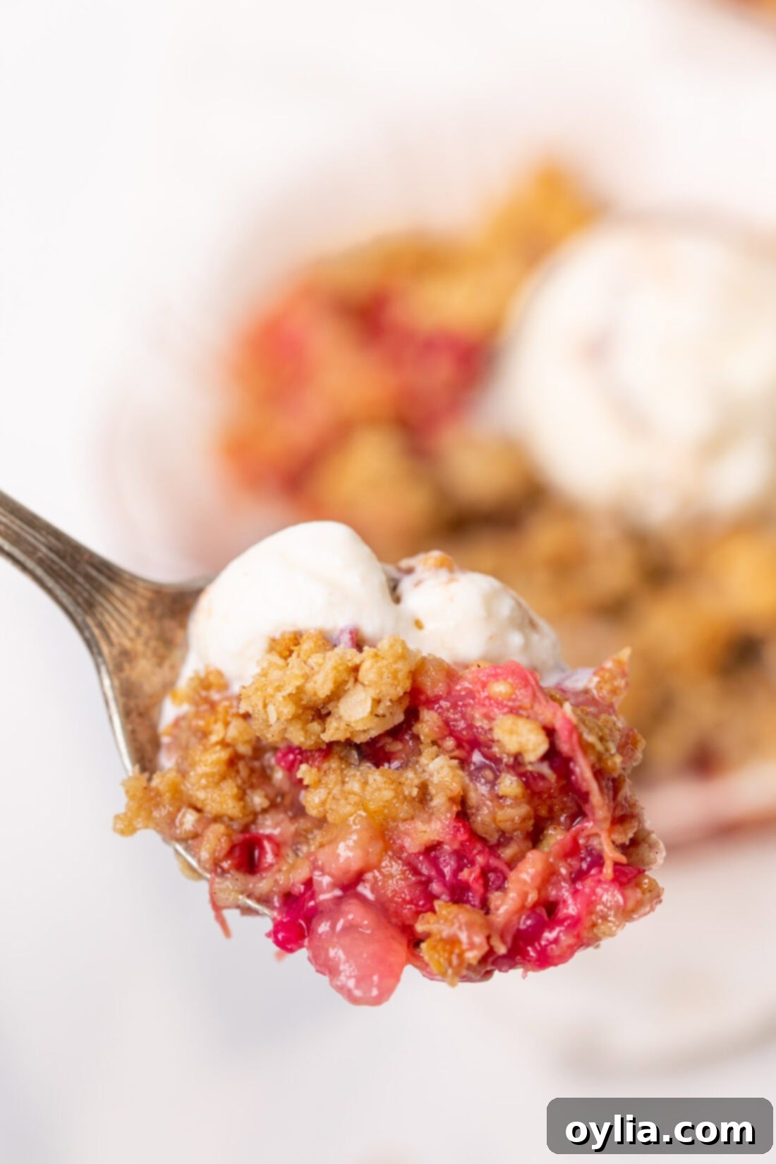 Spoonful of Rhubarb Crisp