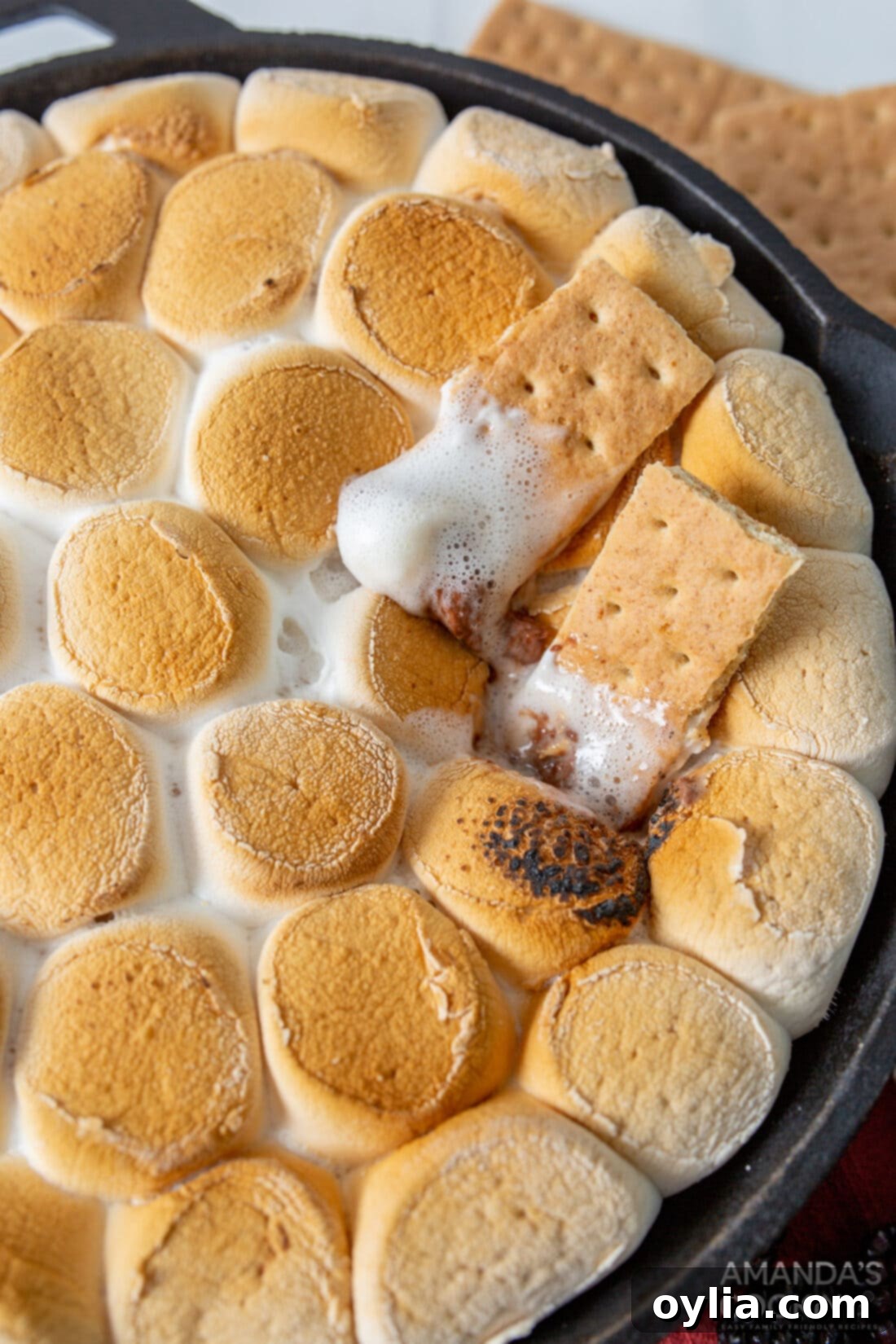 S'mores Dip with graham crackers