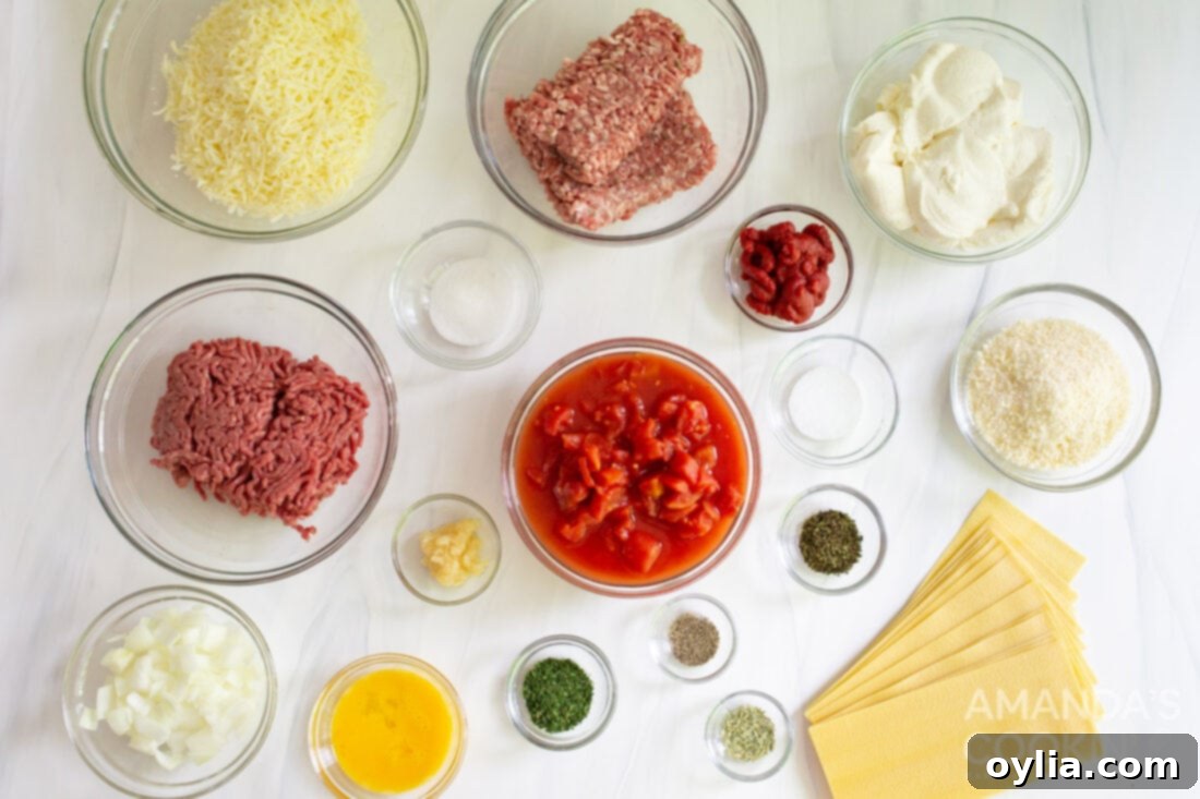 No-Bake Instant Pot Lasagna 4 ingredients for Instant Pot Lasagna