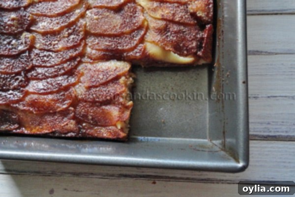 A freshly baked Dutch Apple Snack Cake with caramelized edges, topped with tender apple slices and a sweet cinnamon brown sugar streusel. A perfect comforting dessert or snack.