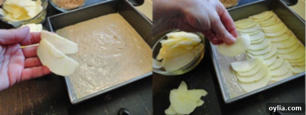 Photos depicting the step-by-step process of placing thinly sliced apples neatly onto the cake batter, ready for baking.