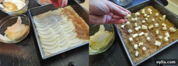 A close-up of a Dutch apple snack cake showcasing cinnamon brown sugar sprinkled generously over sliced apples, dotted with small cubes of cold butter before baking.