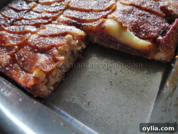 A close-up photo of a Dutch apple snack cake with a piece removed, revealing its moist crumb, tender apple slices, and caramelized edges, ready to be enjoyed.