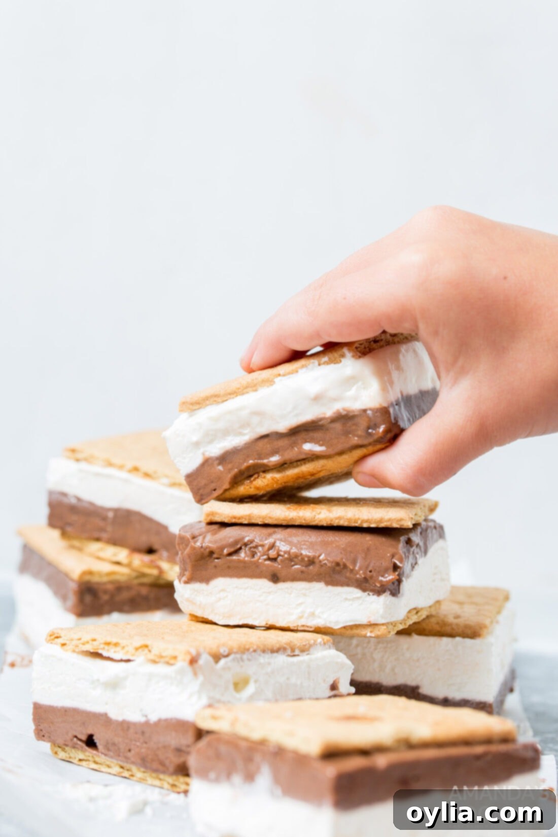 child taking a frozen smore sandwich