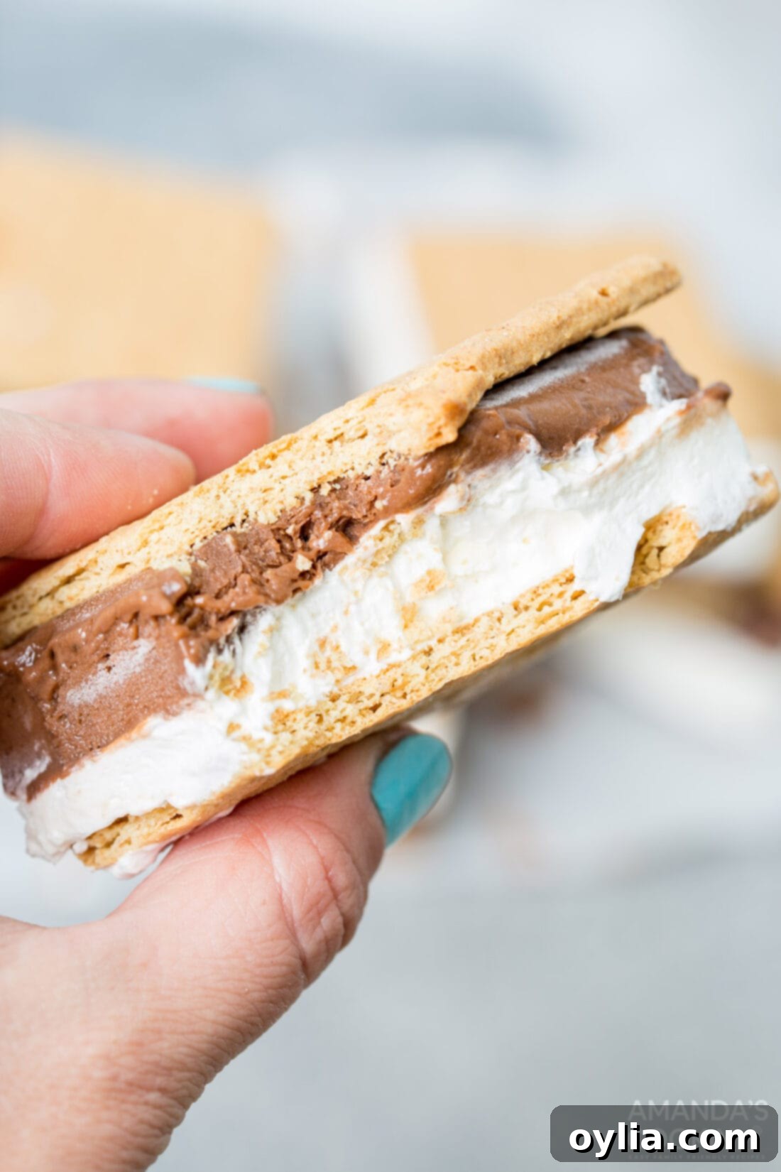 holding a frozen smores with a bite out of it
