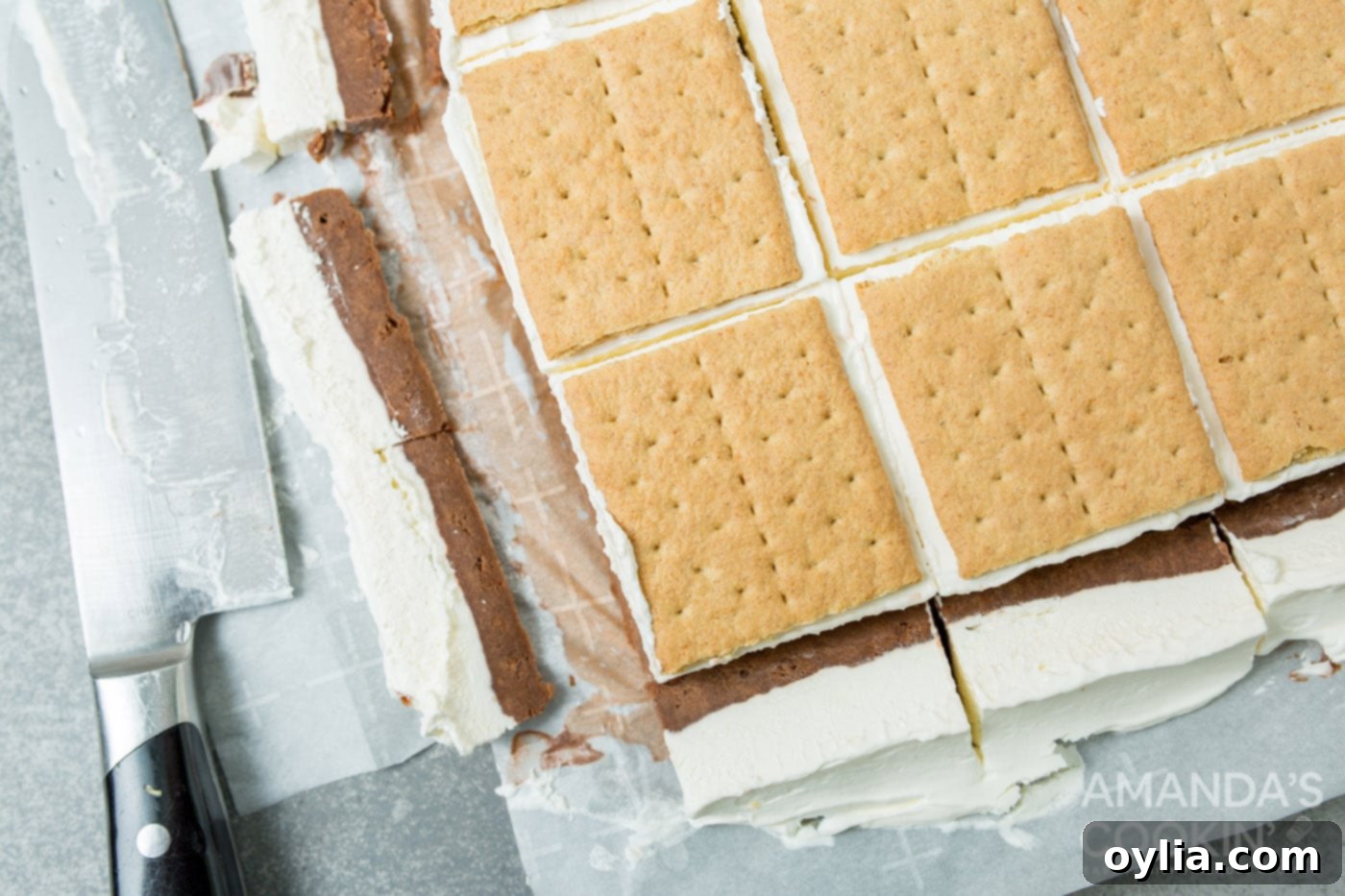 excess chocolate pudding and marshmallow layers cut off of graham crackers