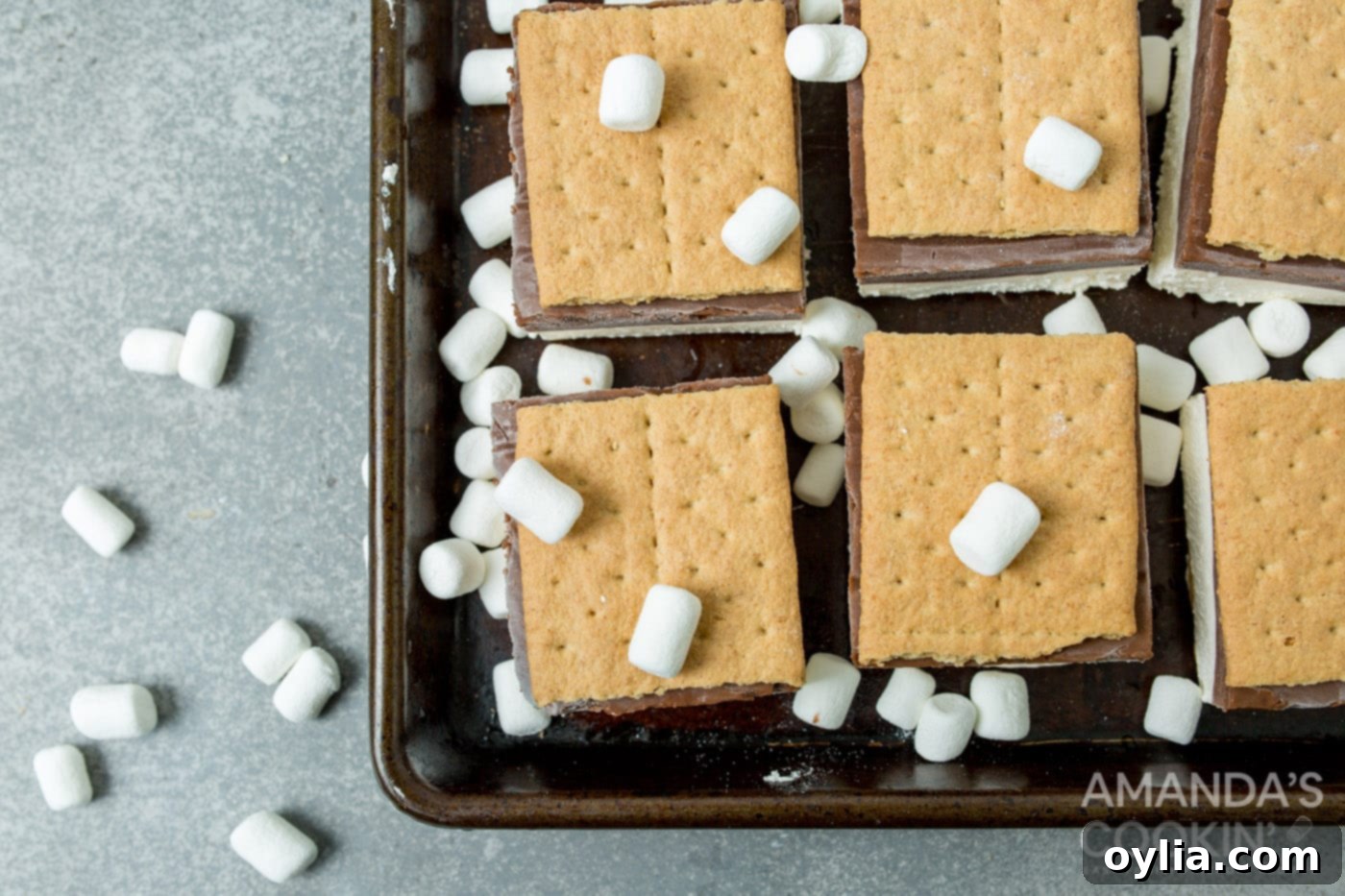 frozen smores with marshmallows