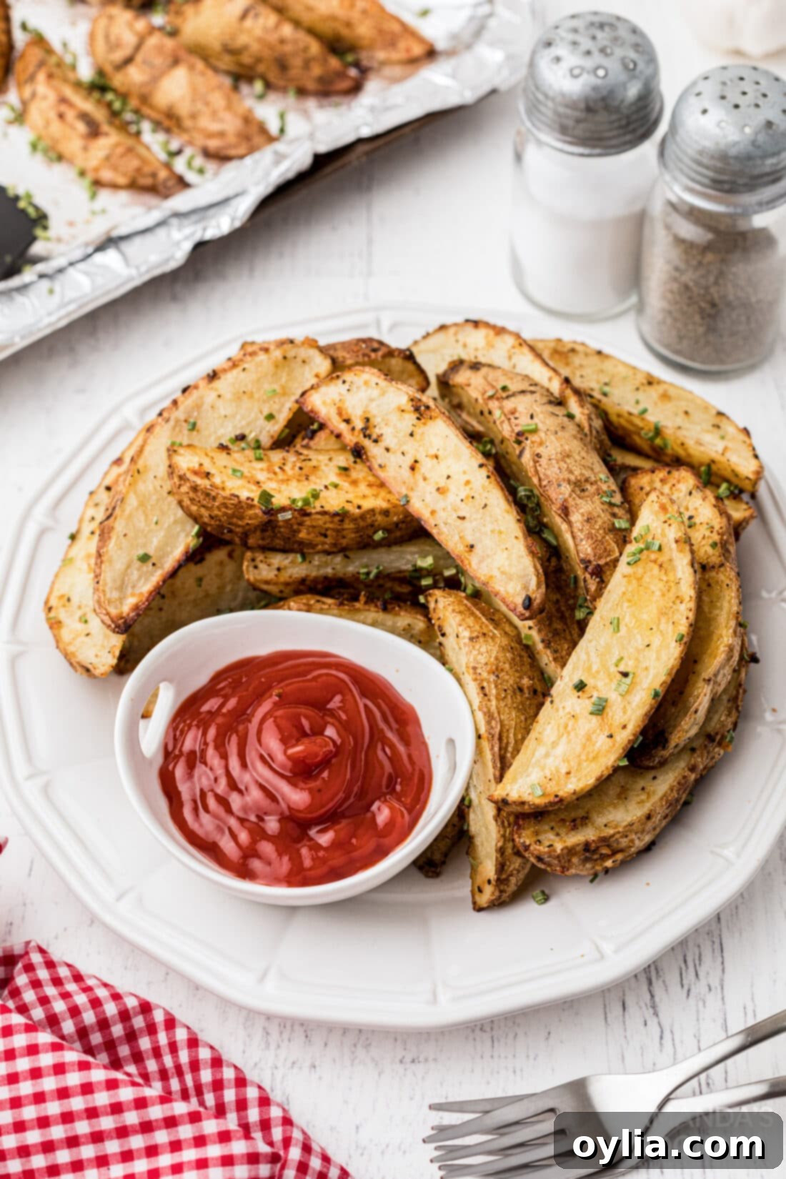 Plate of Roasted Potato Wedges with ketchup