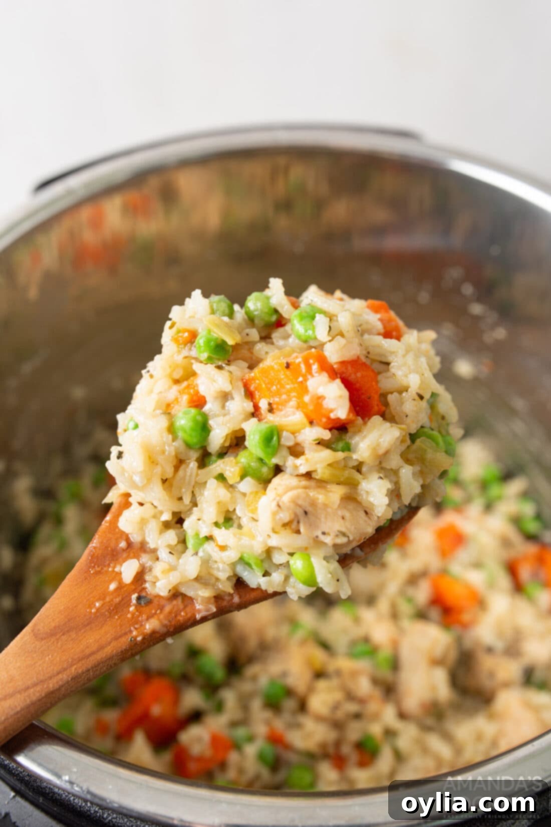 A spoonful of creamy, delicious Instant Pot chicken and rice, showcasing tender chicken pieces, fluffy rice, and colorful vegetables.