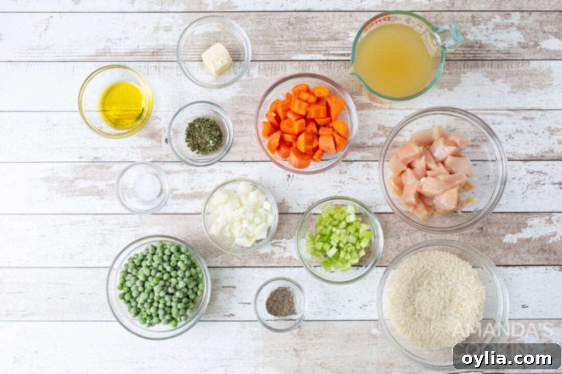 A flat lay of fresh ingredients including chicken breast, carrots, celery, onion, rice, and spices, laid out for an Instant Pot chicken and rice recipe.
