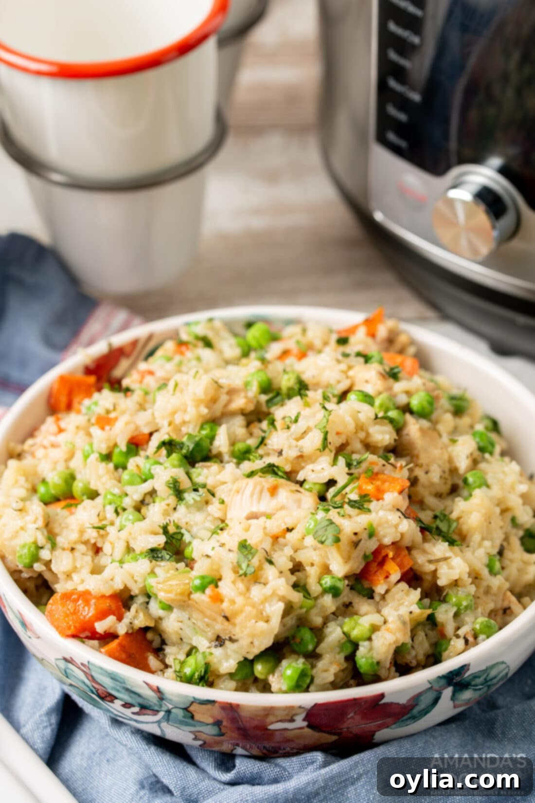 A close-up shot of a rustic bowl of homemade Instant Pot chicken and rice, perfectly cooked and ready to eat.
