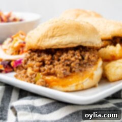Instant Pot Sloppy Joe served on a toasted bun.