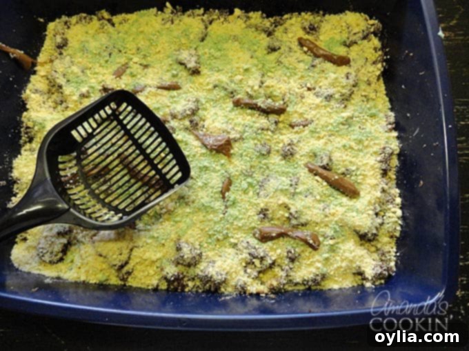 An overhead photo of a kitty litter cake, perfectly styled in a brand new litter pan with a clean scooper, ready to surprise and delight guests.