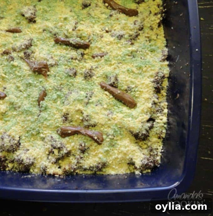 A close-up overhead photo highlighting the realistic texture of the kitty litter cake, showing the cookie crumbs, 'turds,' and hints of green for added authenticity.
