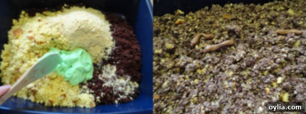A step-by-step photo showing the mixture of crumbled cake, cookie crumbs, and pudding in a new kitty litter pan, ready for the final touches.