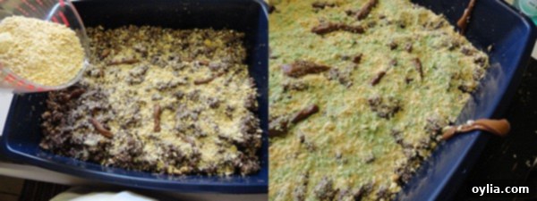 A step-by-step photo demonstrating softened Tootsie Rolls being shaped into realistic 'turds' and placed among the cake and cookie mixture.