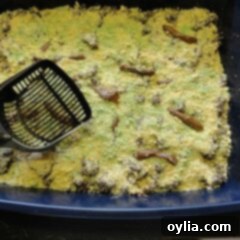 Kitty Litter Cake The Ultimate Halloween Gross Out 5 An overhead photo of a kitty litter cake, served in a new litter pan with a clean pooper scooper, making it a perfect gross-out Halloween party dessert.