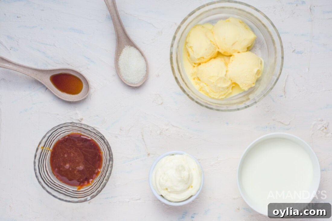 All the fresh ingredients laid out for making a salted caramel milkshake, including vanilla ice cream, milk, vanilla extract, and caramel sauce.