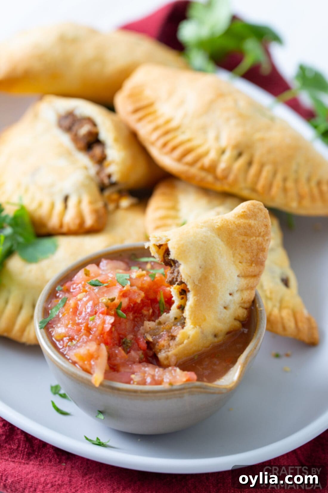 Crispy Air Fryer Empanadas 2 empanada dipped in pico de gallo