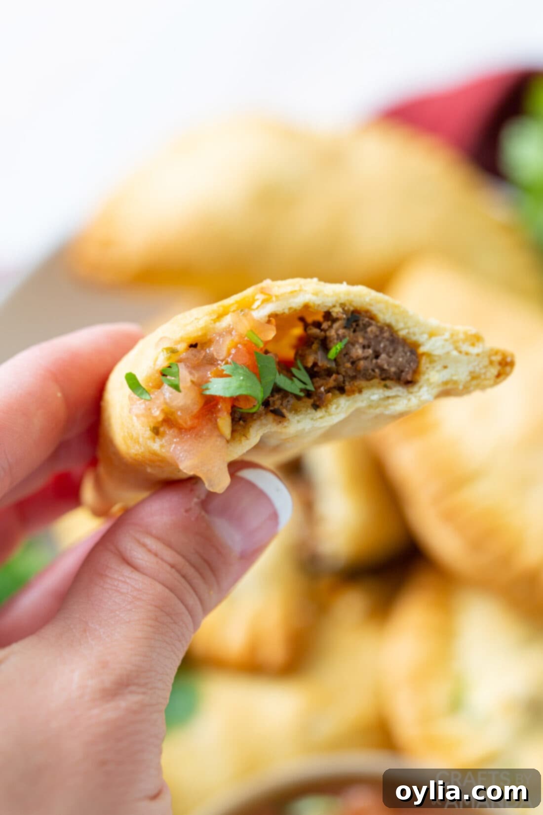 Crispy Air Fryer Empanadas 3 close up of inside of air fryer empanadas
