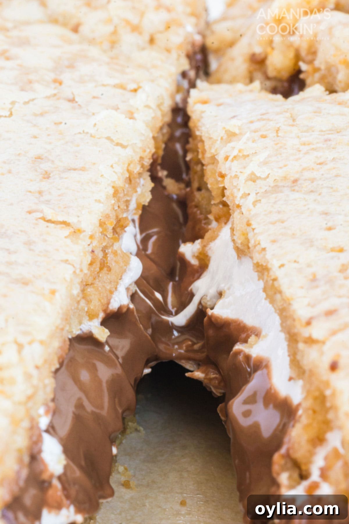 close up of melting marshmallow and chocolate in a s'mores bar