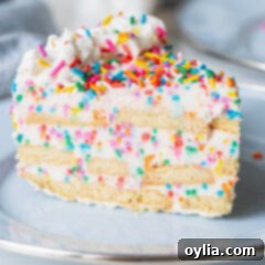 No-Bake Rainbow Sprinkle Delight 10 Funfetti Icebox Cake