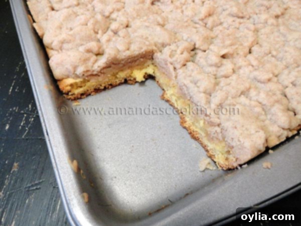 A close-up of a homemade crumb cake slice, highlighting the textured crumb topping.