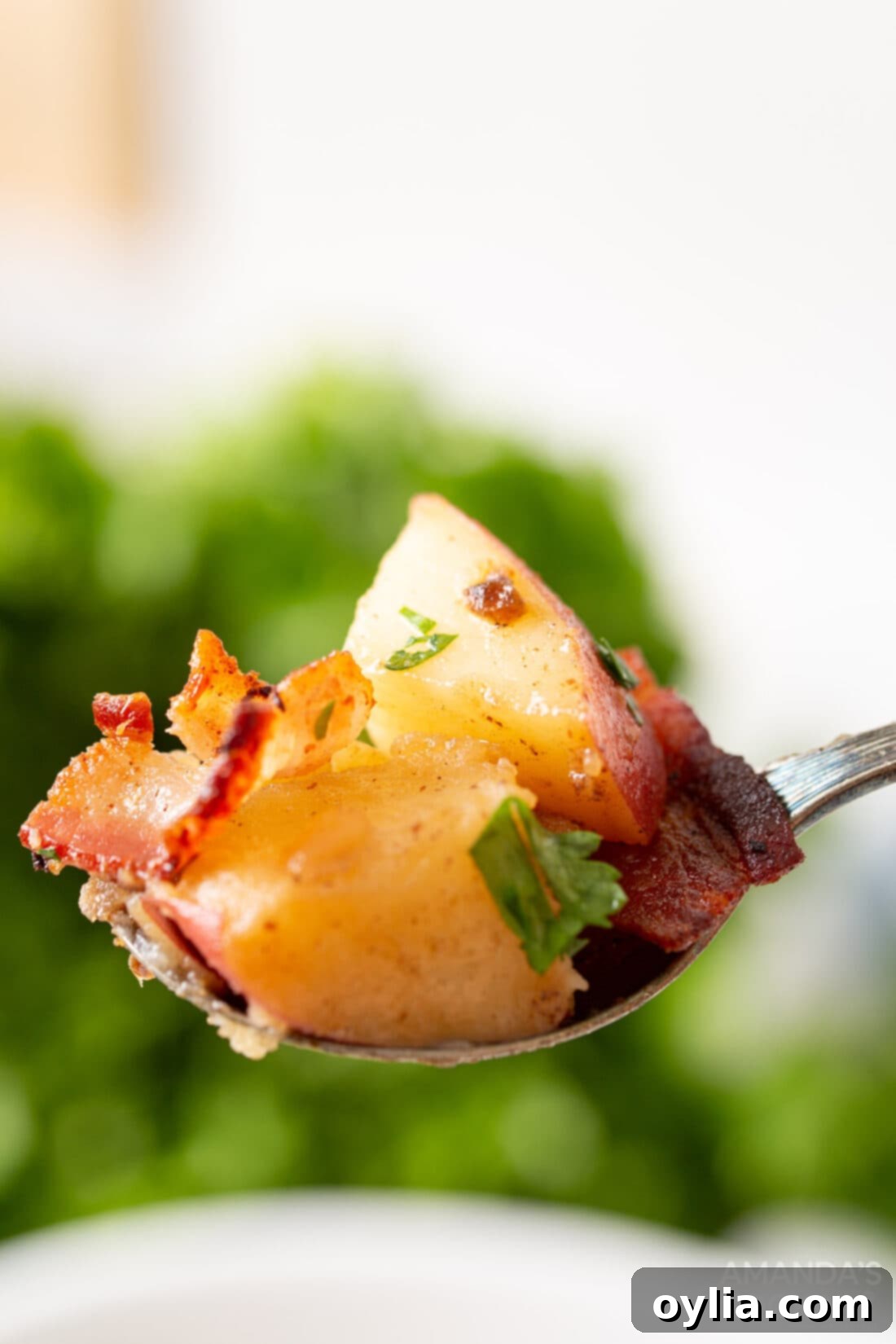 spoonful of German Potato Salad garnished with fresh herbs