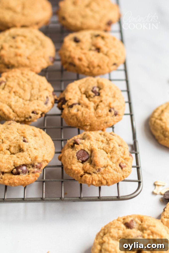 A wire rack filled with freshly baked peanut butter oatmeal chocolate chip cookies, showcasing their golden-brown edges and soft centers.