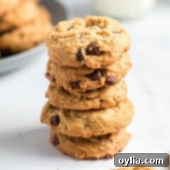 stack of Peanut Butter Oatmeal Chocolate Chip Cookies
