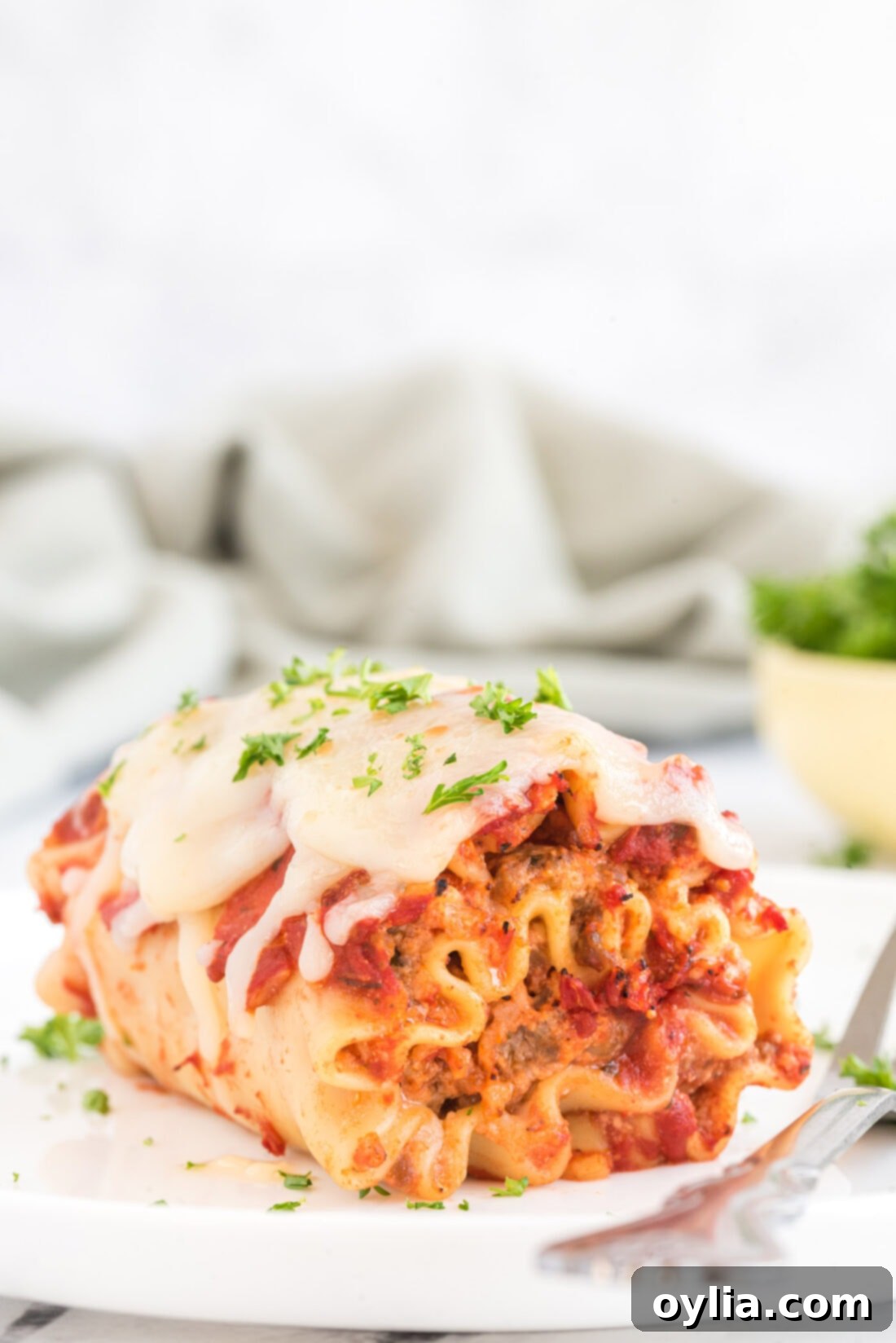 Lasagna Roll Up on a plate
