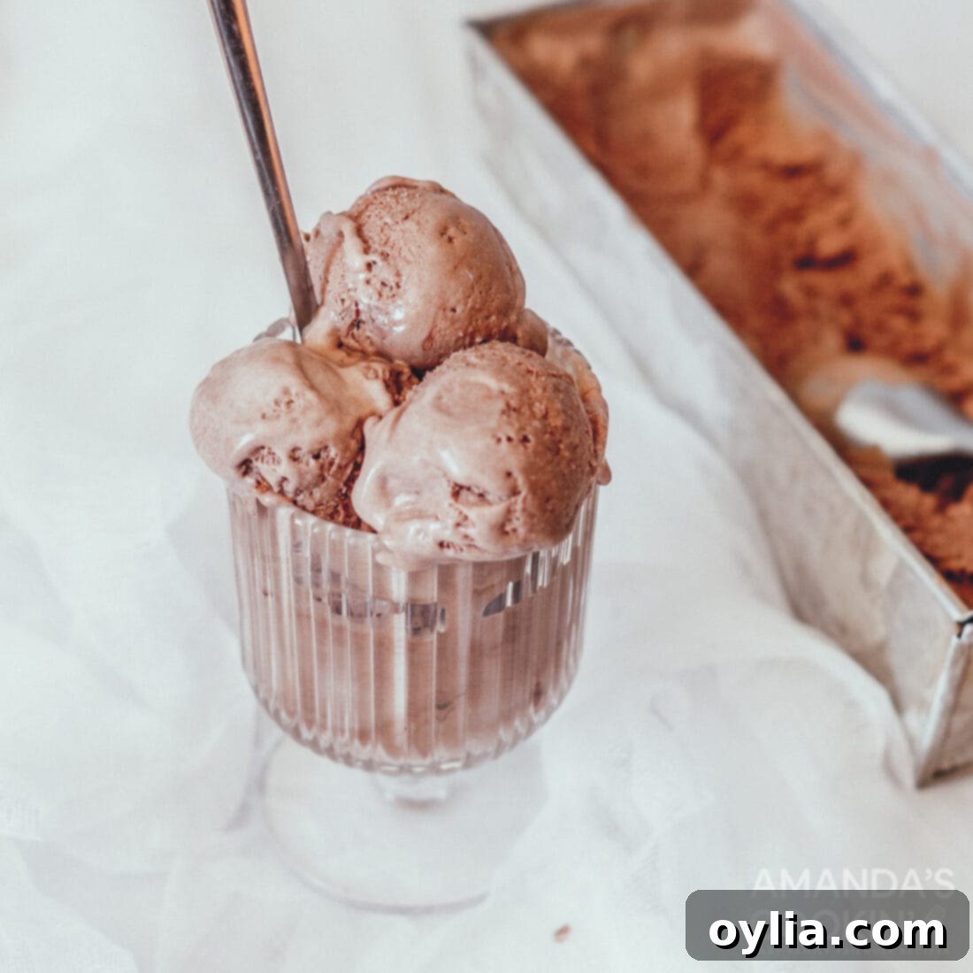 dish of chocolate ice cream