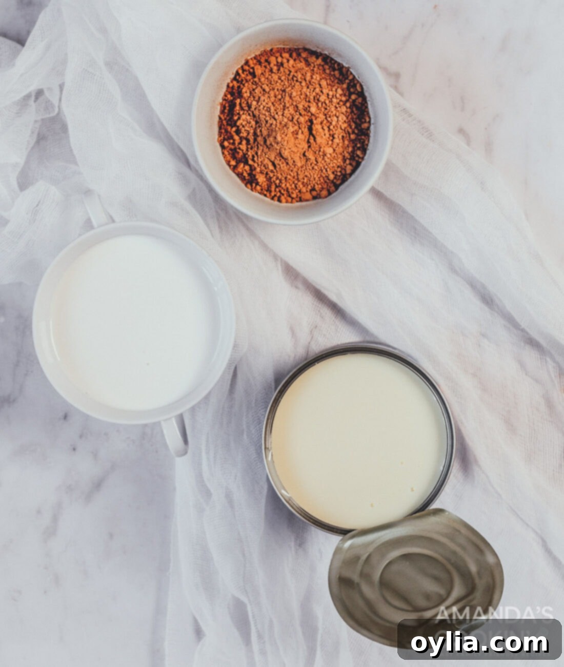 ingredients for chocolate ice cream