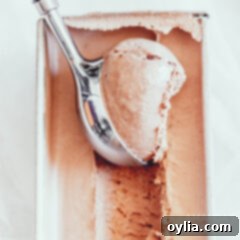chocolate ice cream