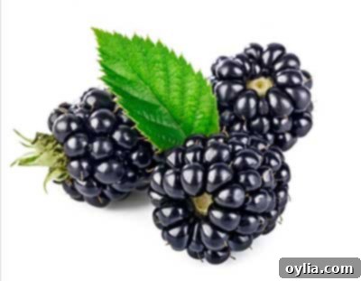 Fresh, dark blackberries, rich in antioxidants